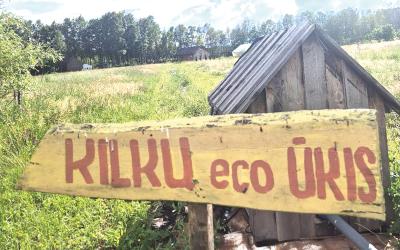 article_577.jpg