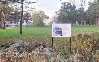article_649.jpg